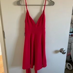 Windsor Red Tie-Back Skater Dress